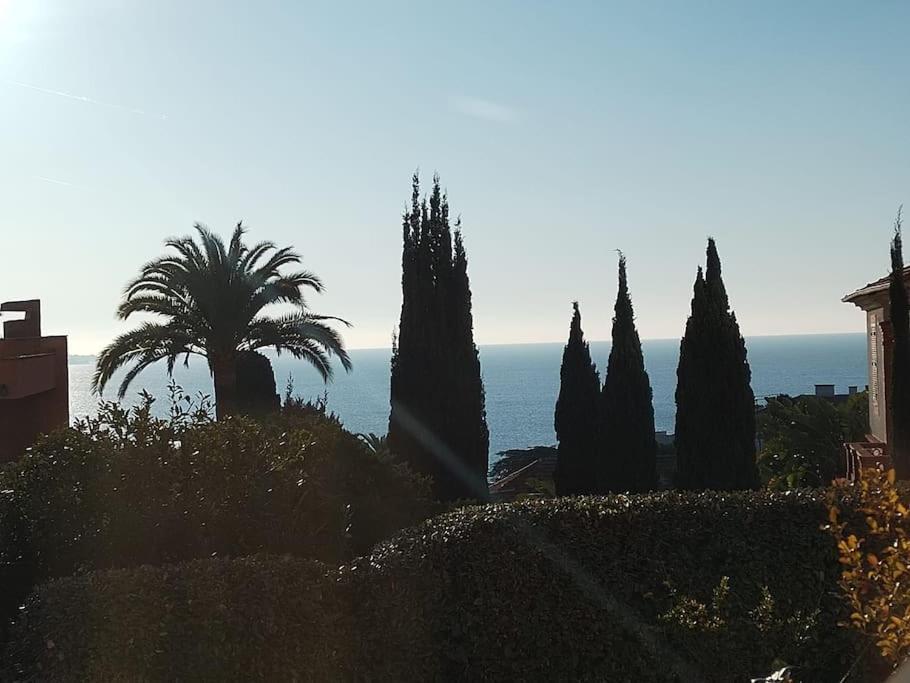Residence De Luxe Sun Paradis, Studio Terrasse, Vue Mer Piscine Cannes Eksteriør billede